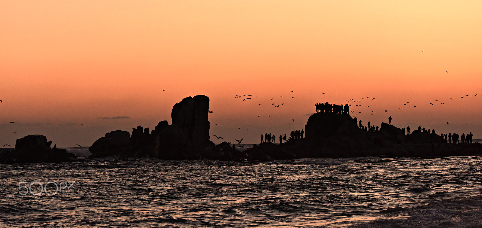Nikon D810 sample photo. Waiting sunrise photography
