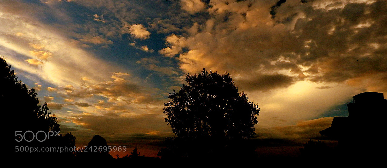 Fujifilm FinePix SL1000 sample photo. Last coloum umars .... photography