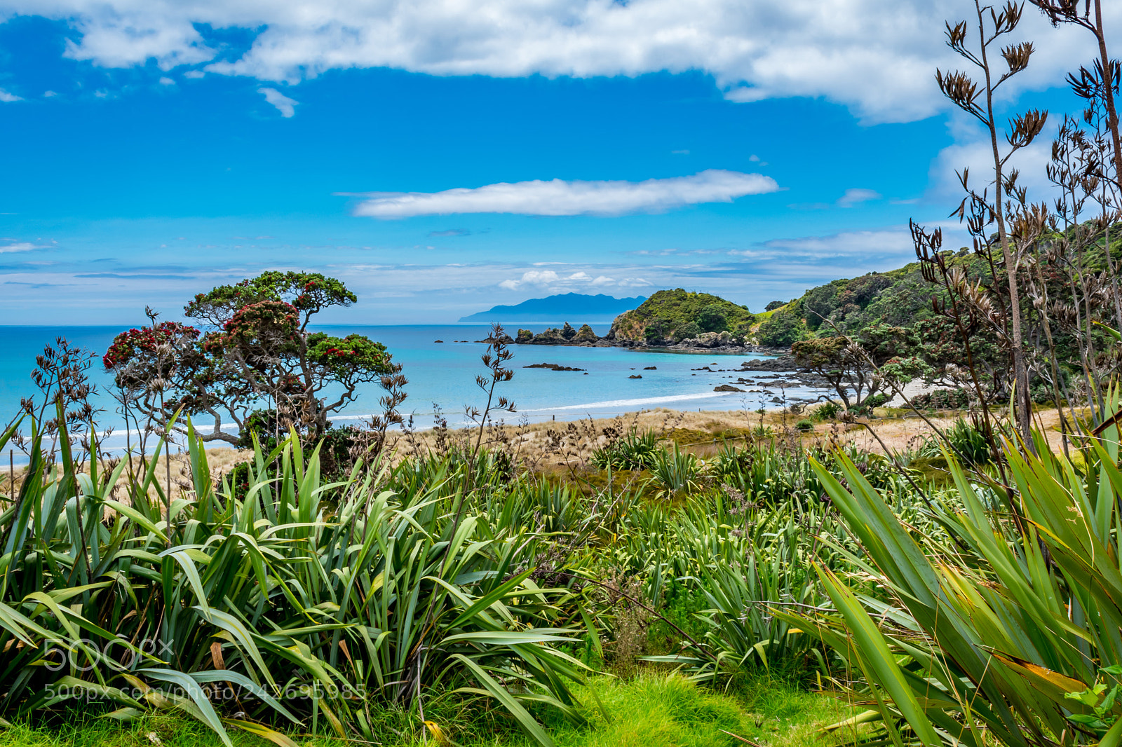 Nikon D3400 sample photo. Beautiful new zealand photography