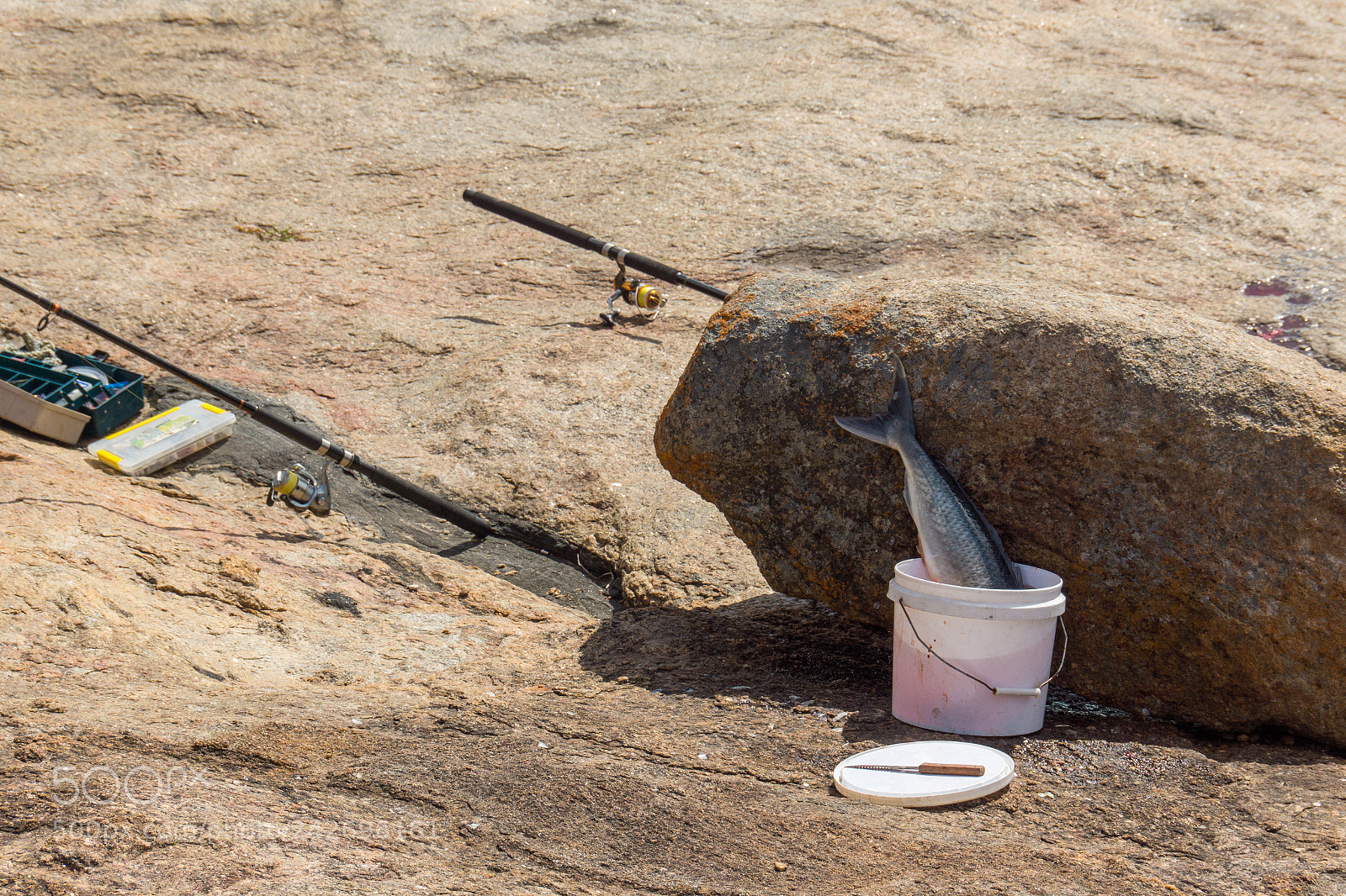 Sony SLT-A77 sample photo. Fishing photography