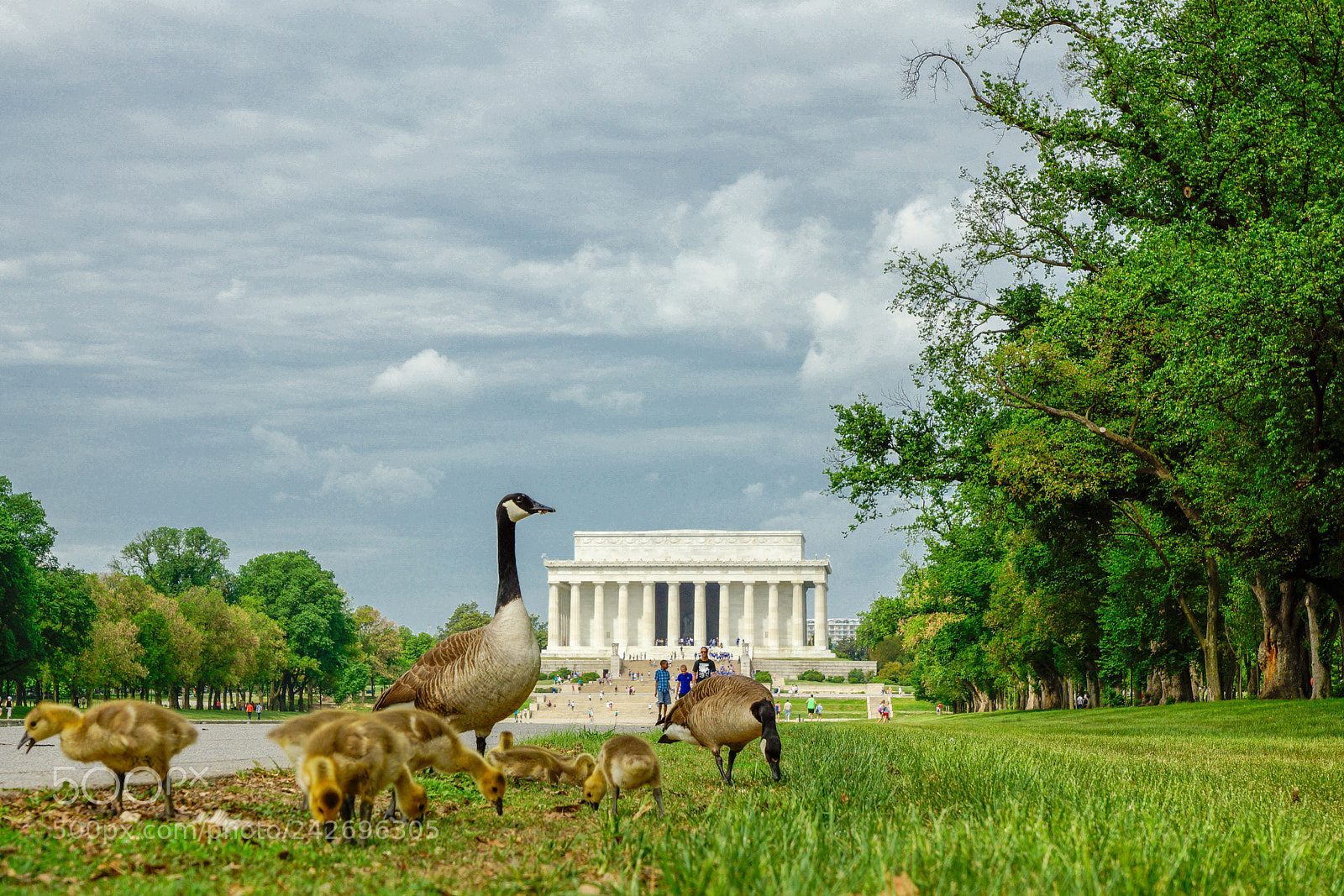 Sony SLT-A77 sample photo. Lincoln memorial photography