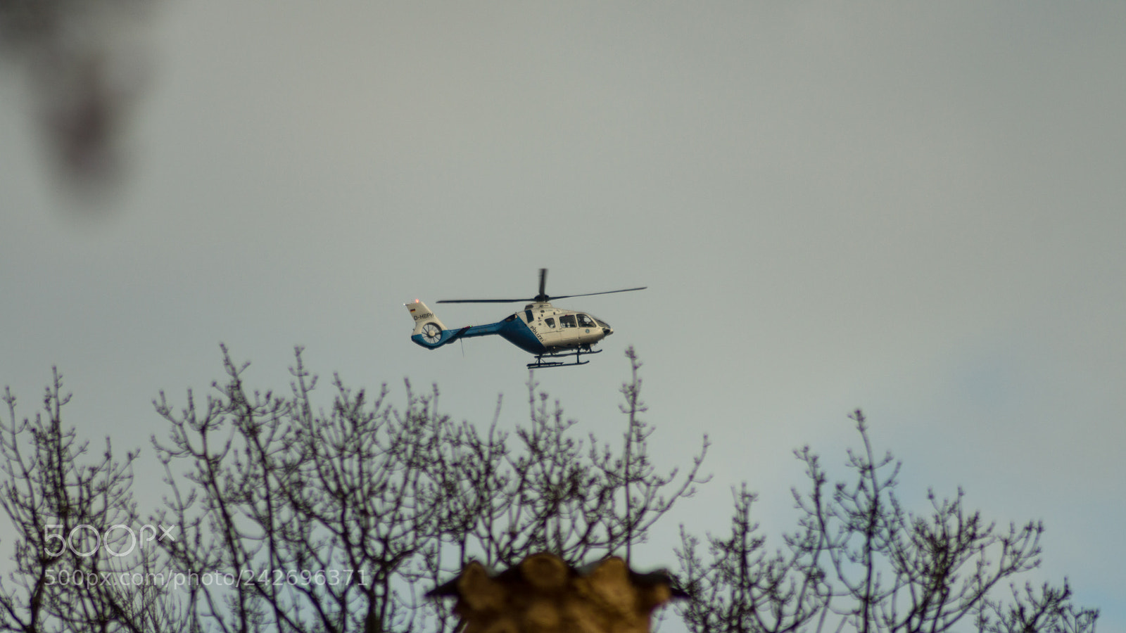 Sony SLT-A65 (SLT-A65V) sample photo. Helicopter over the park photography