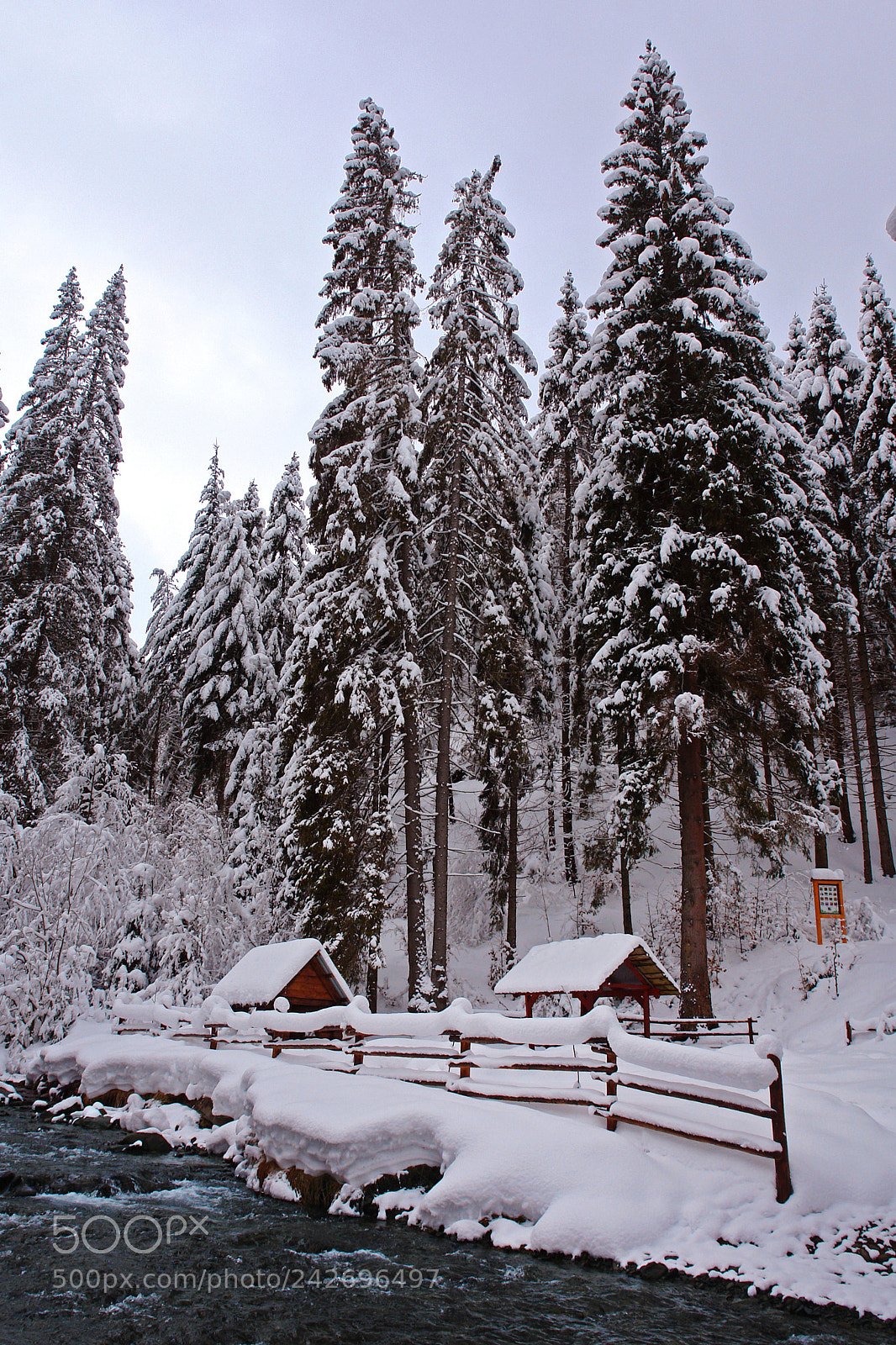 Sony DSC-R1 sample photo. Carpathians photography