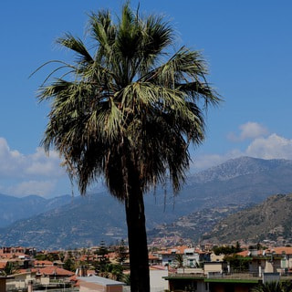 Ventimiglia (IM) - Chiostro dell'ex Convento di Sant'Agostino