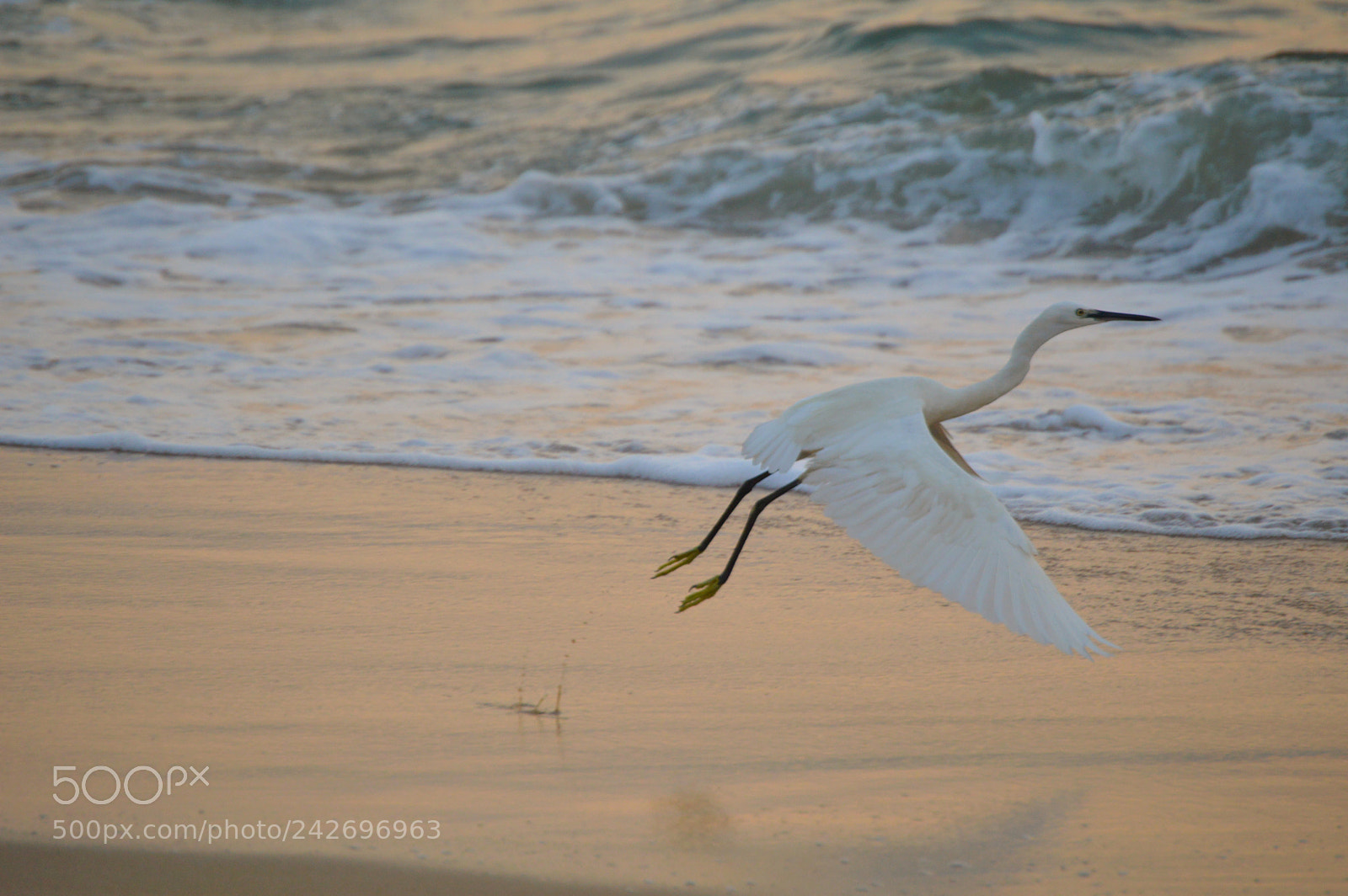 Nikon D3200 sample photo. Untitled photography