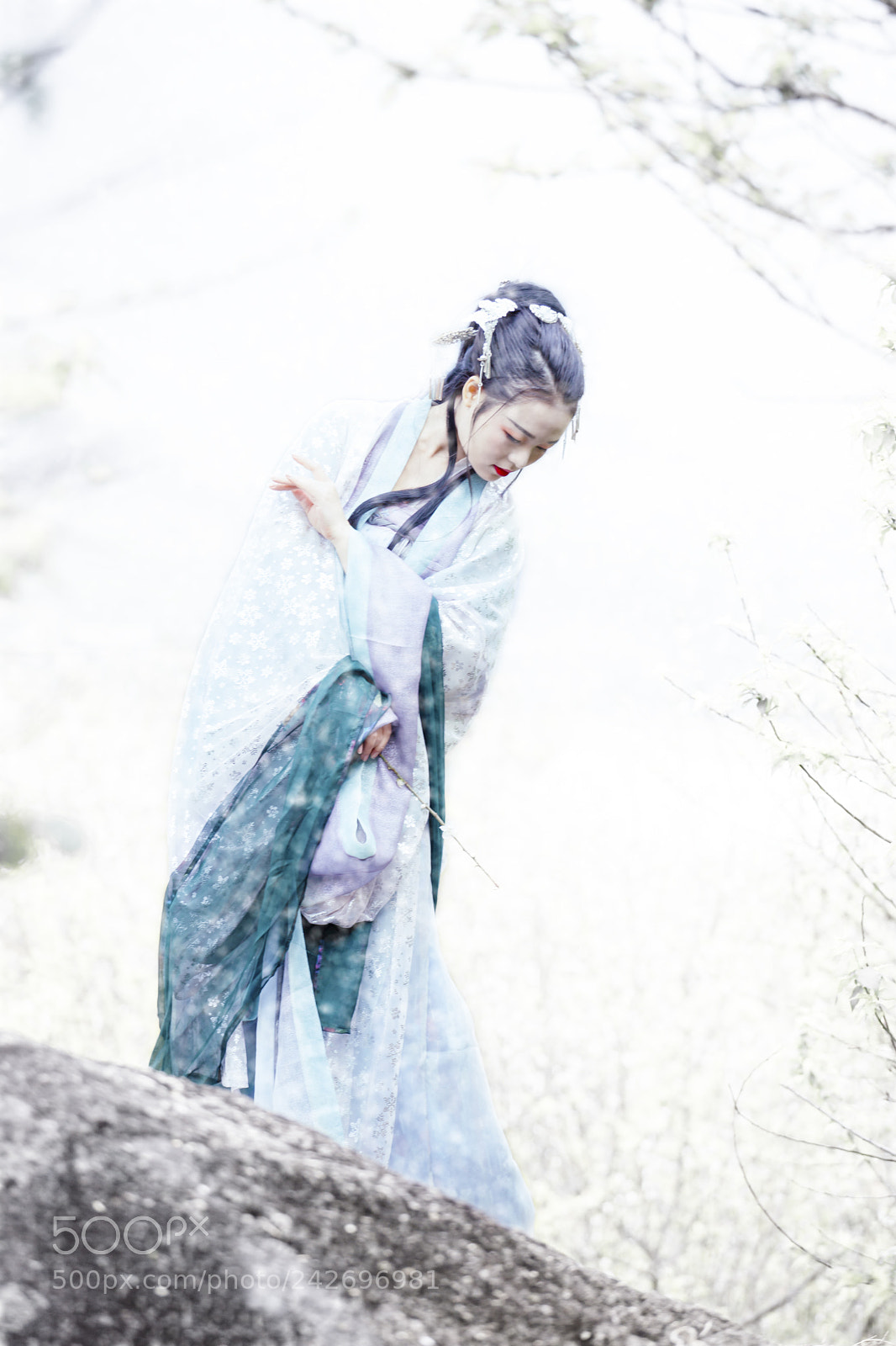 Canon EOS 6D Mark II sample photo. 梅花三弄 photography