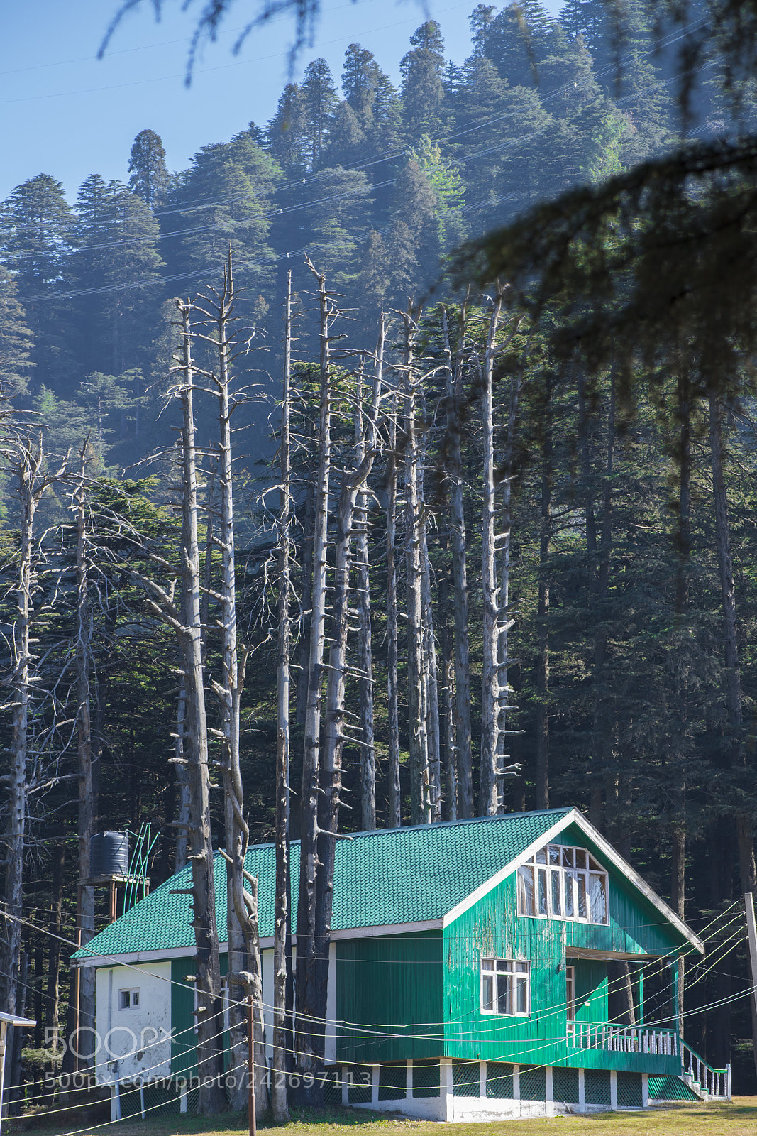 Nikon D5600 sample photo. Green cabin in the photography