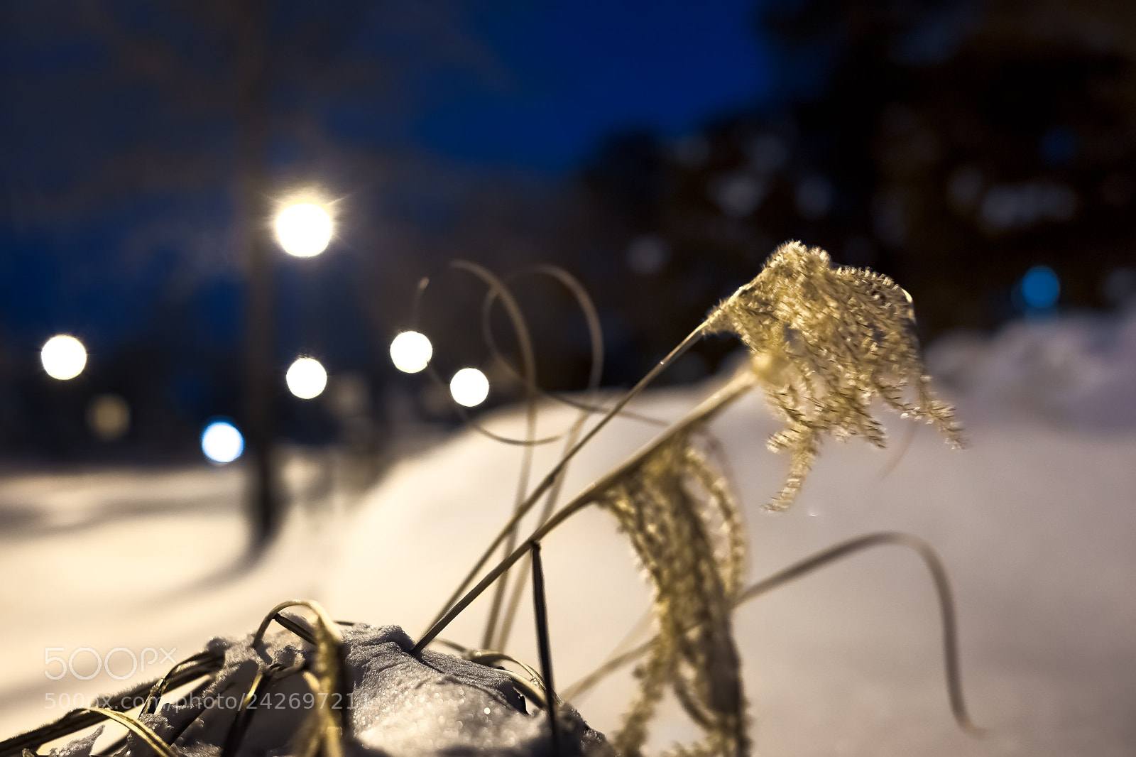Fujifilm X-T2 sample photo. Dawn after the snow photography
