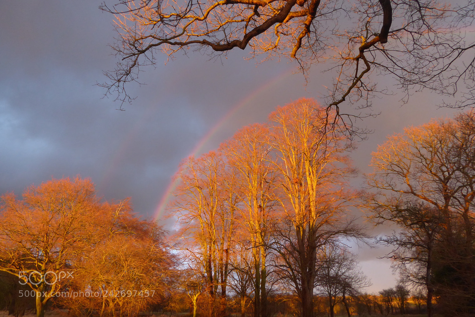 Panasonic Lumix DMC-ZS50 (Lumix DMC-TZ70) sample photo. Light before storm photography