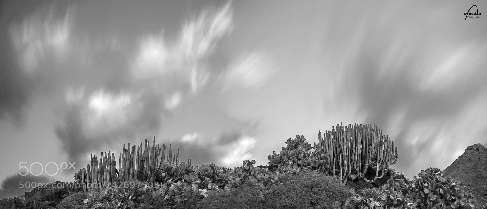 Nikon D5000 sample photo. Spikes vs silk photography