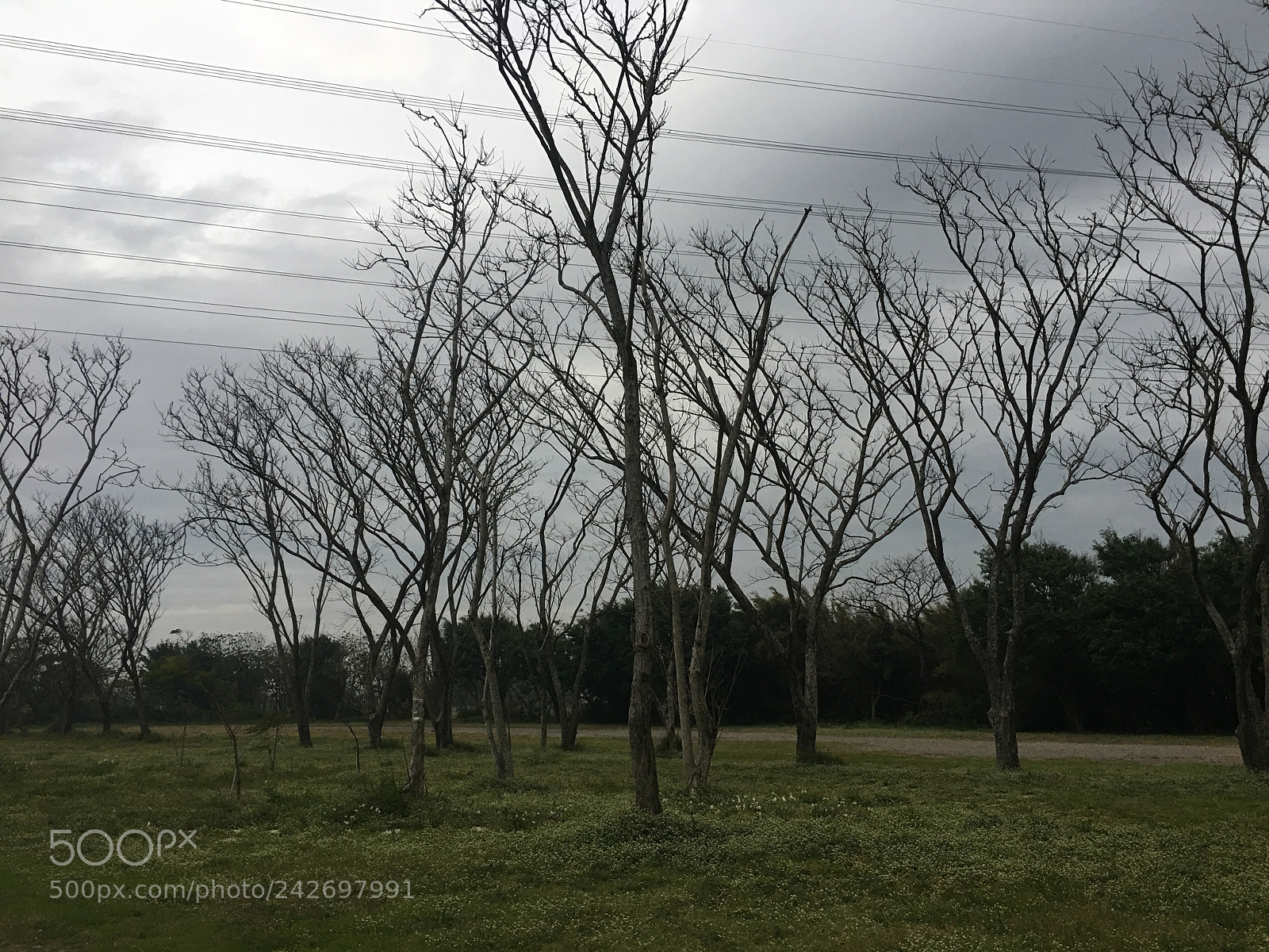 Apple iPhone 6s Plus sample photo. 新屋 九斗村 photography