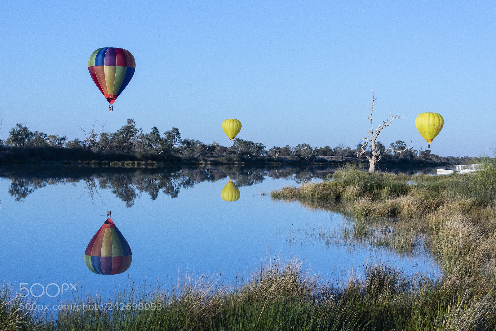 Sony SLT-A77 sample photo. Balloons over birdsville photography