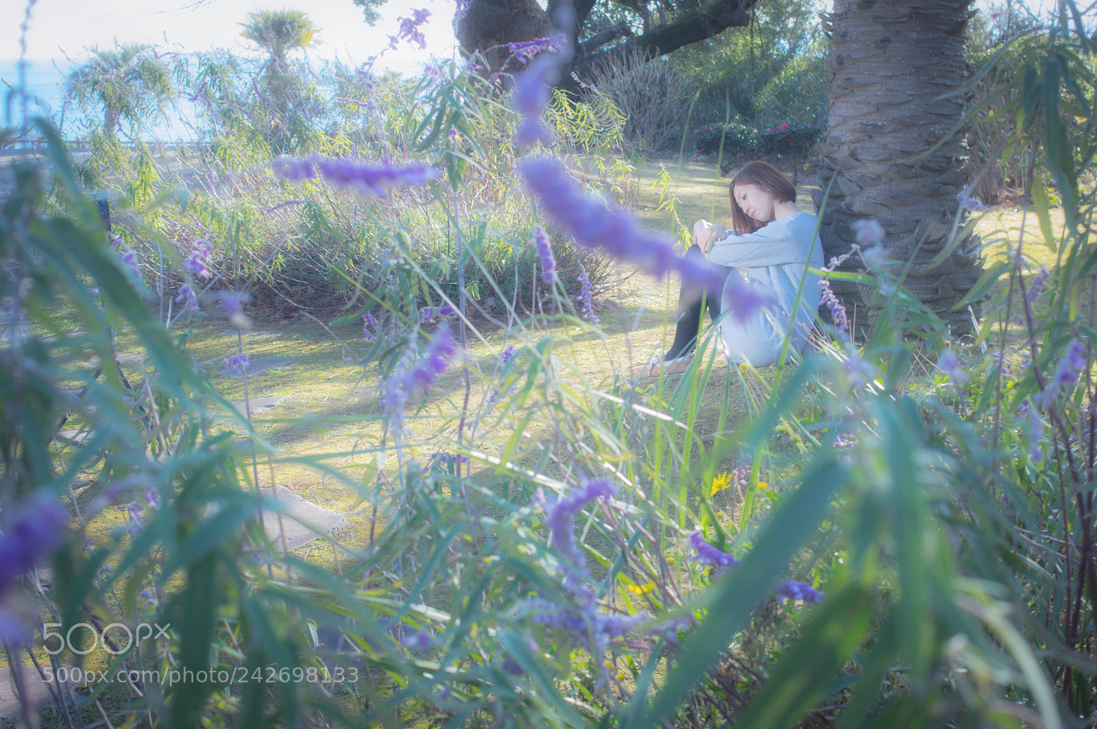 Pentax K-3 sample photo. 【life is cool.7】 photography