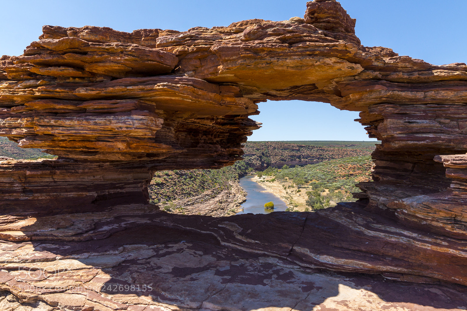 Sony SLT-A77 sample photo. Natures eye photography