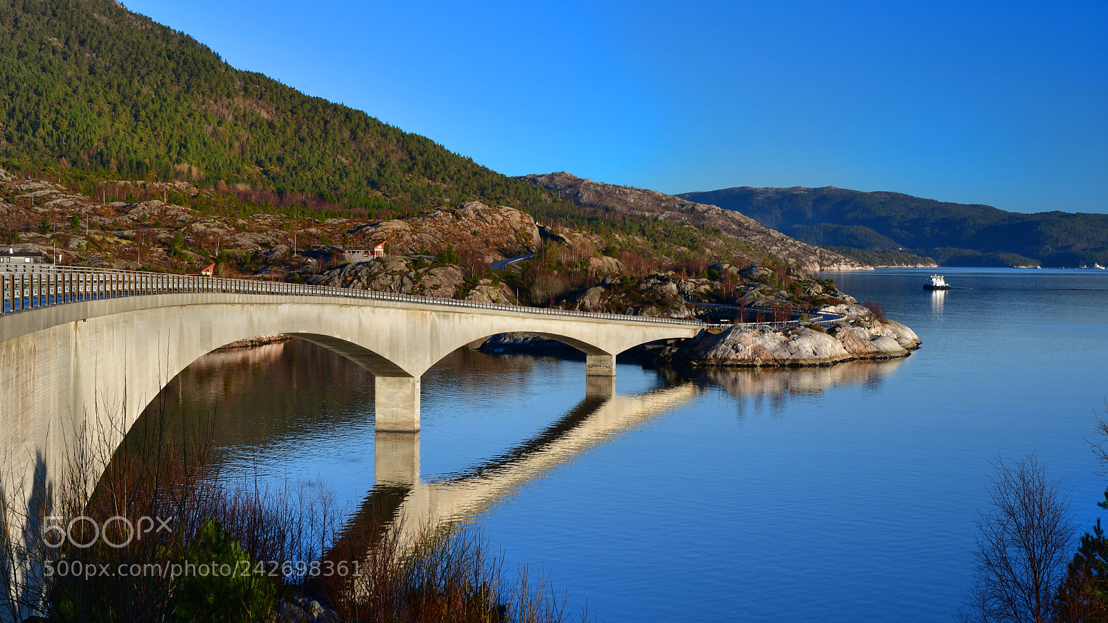 Nikon D500 sample photo. The bridge photography