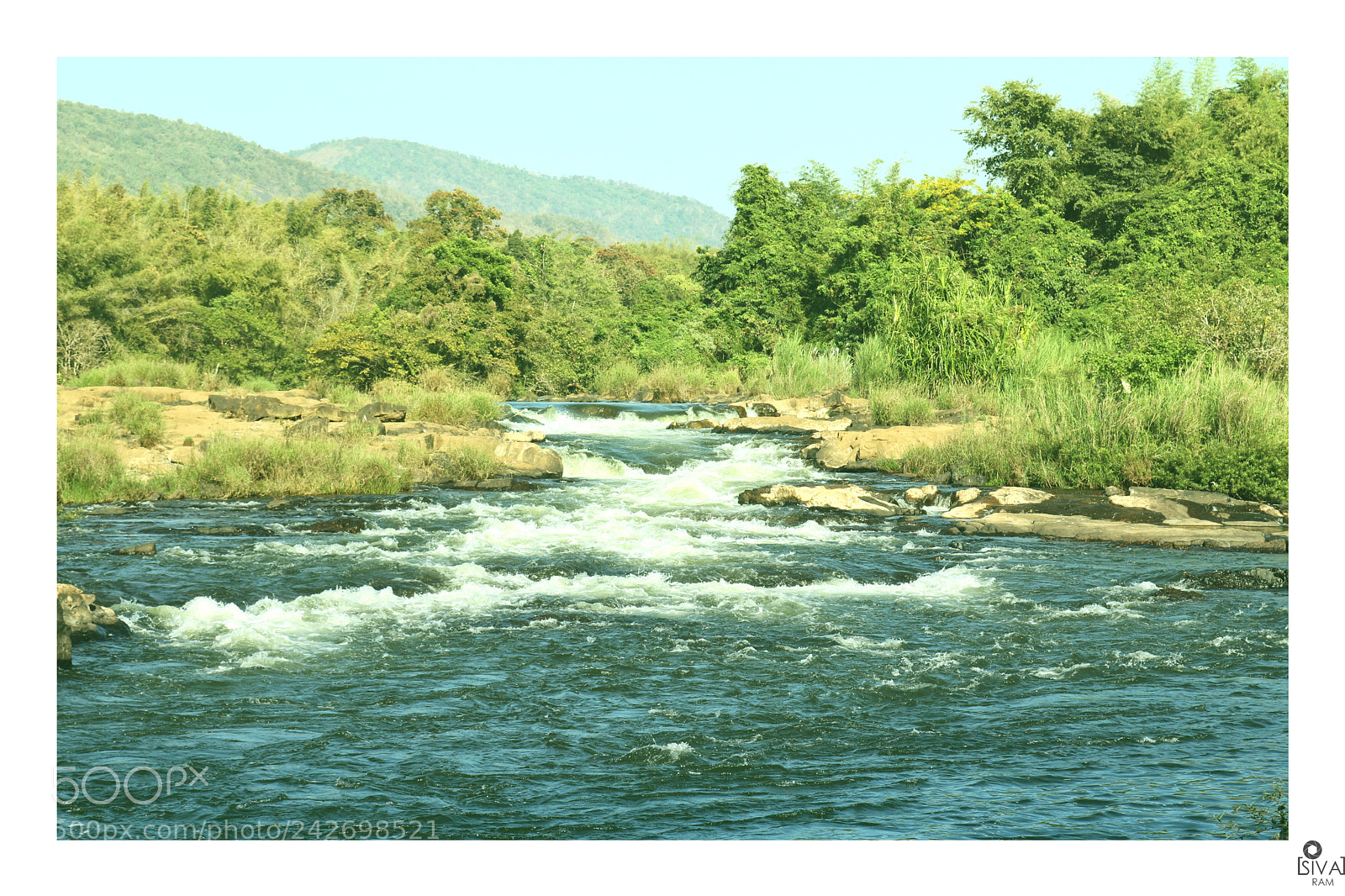 Canon EOS 750D (EOS Rebel T6i / EOS Kiss X8i) sample photo. Flowwww ! photography