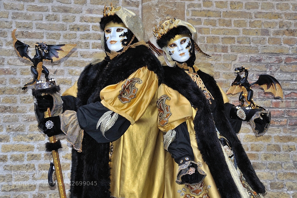 Nikon D700 sample photo. Venetian carnaval photography
