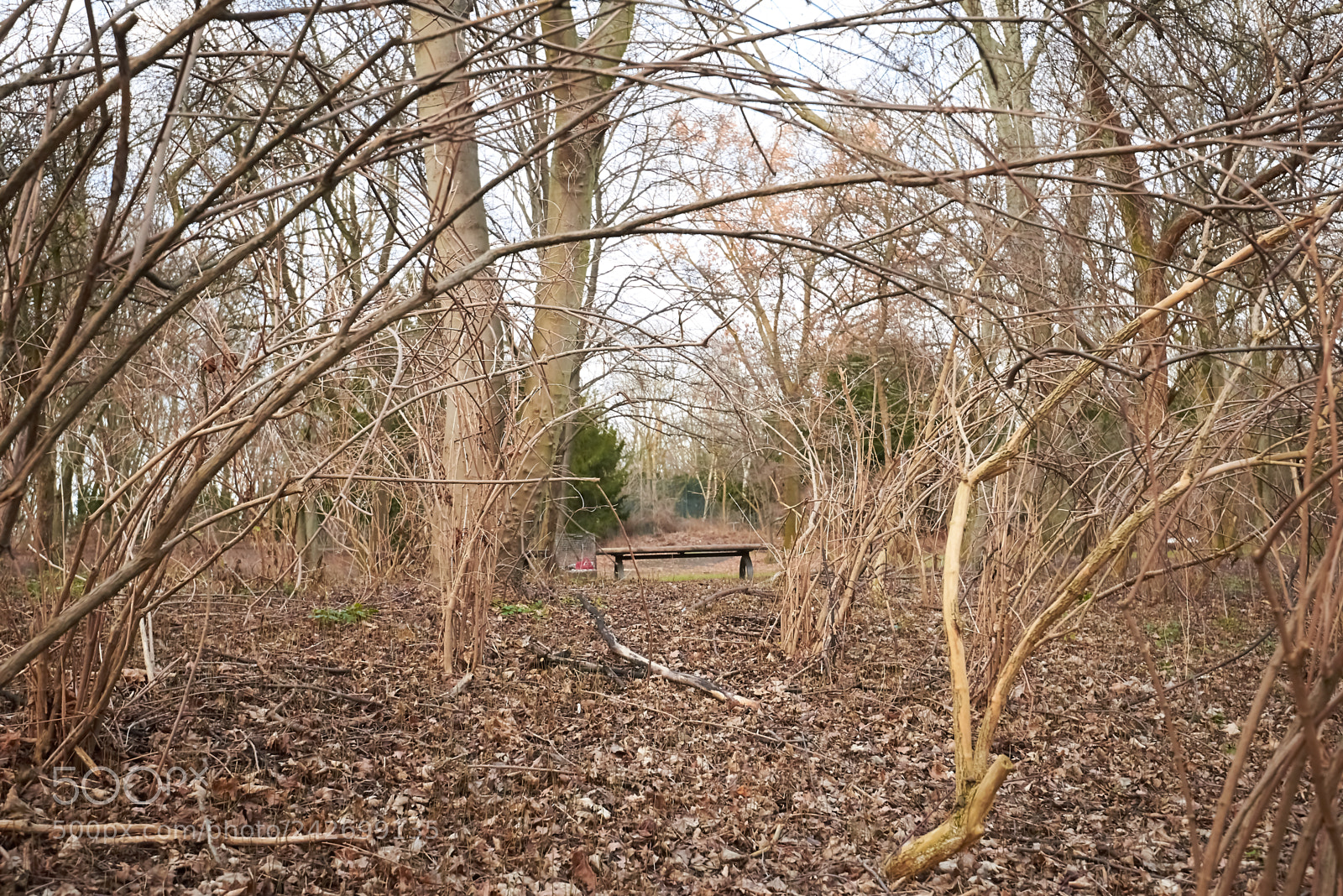 Nikon D610 sample photo. B. p. photography