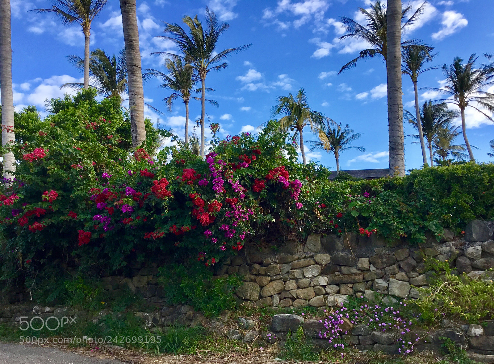 Apple iPad sample photo. Curbside appeal photography