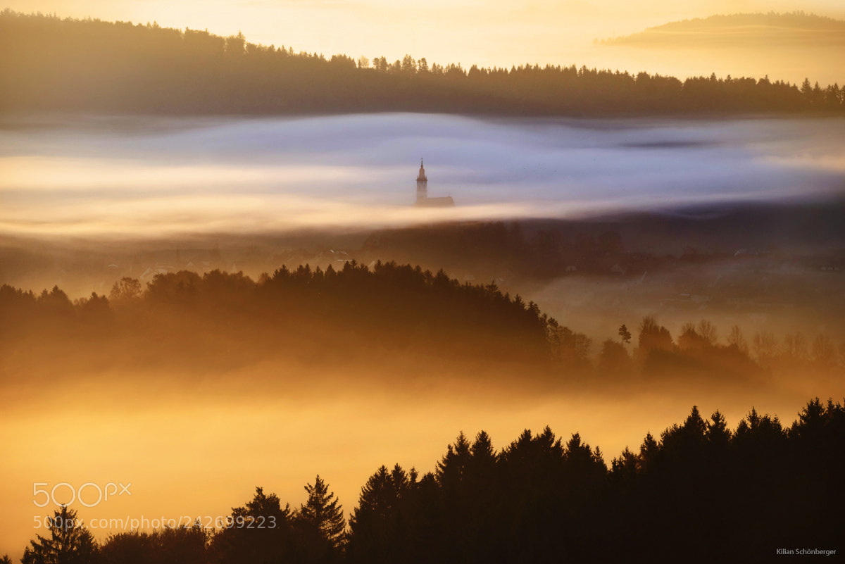 Sony a7R sample photo. Enchanted world photography