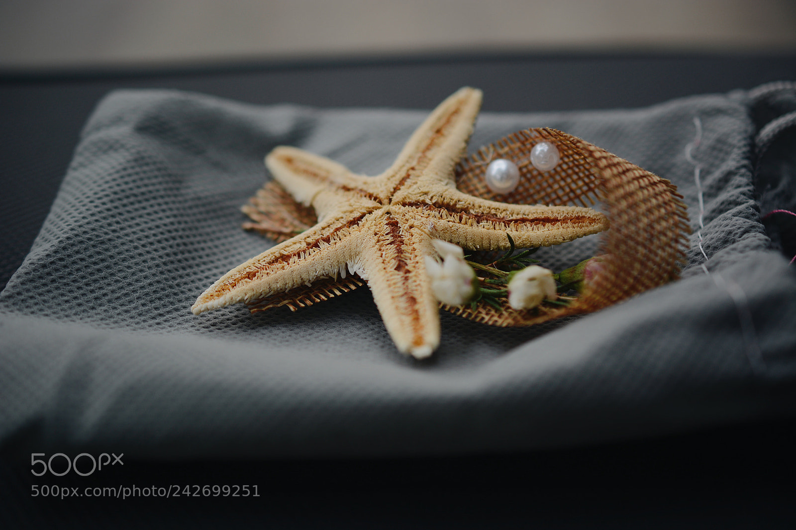 Nikon D7100 sample photo. Starfish! photography