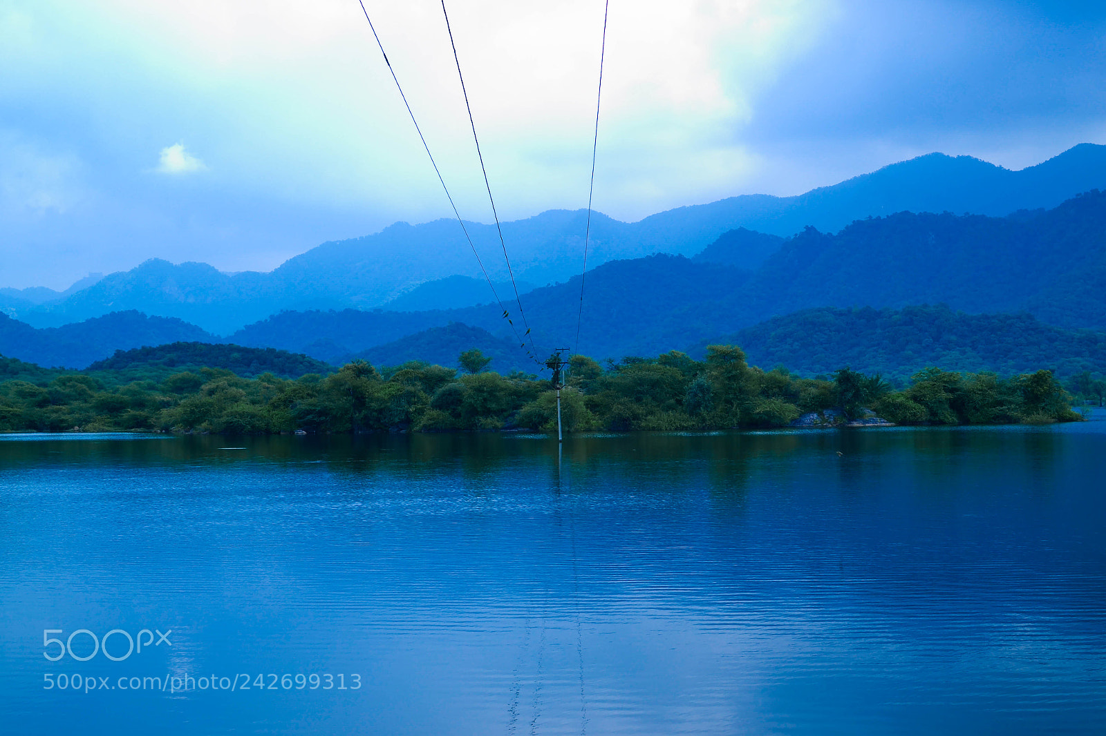 Nikon D3100 sample photo. Natural photography