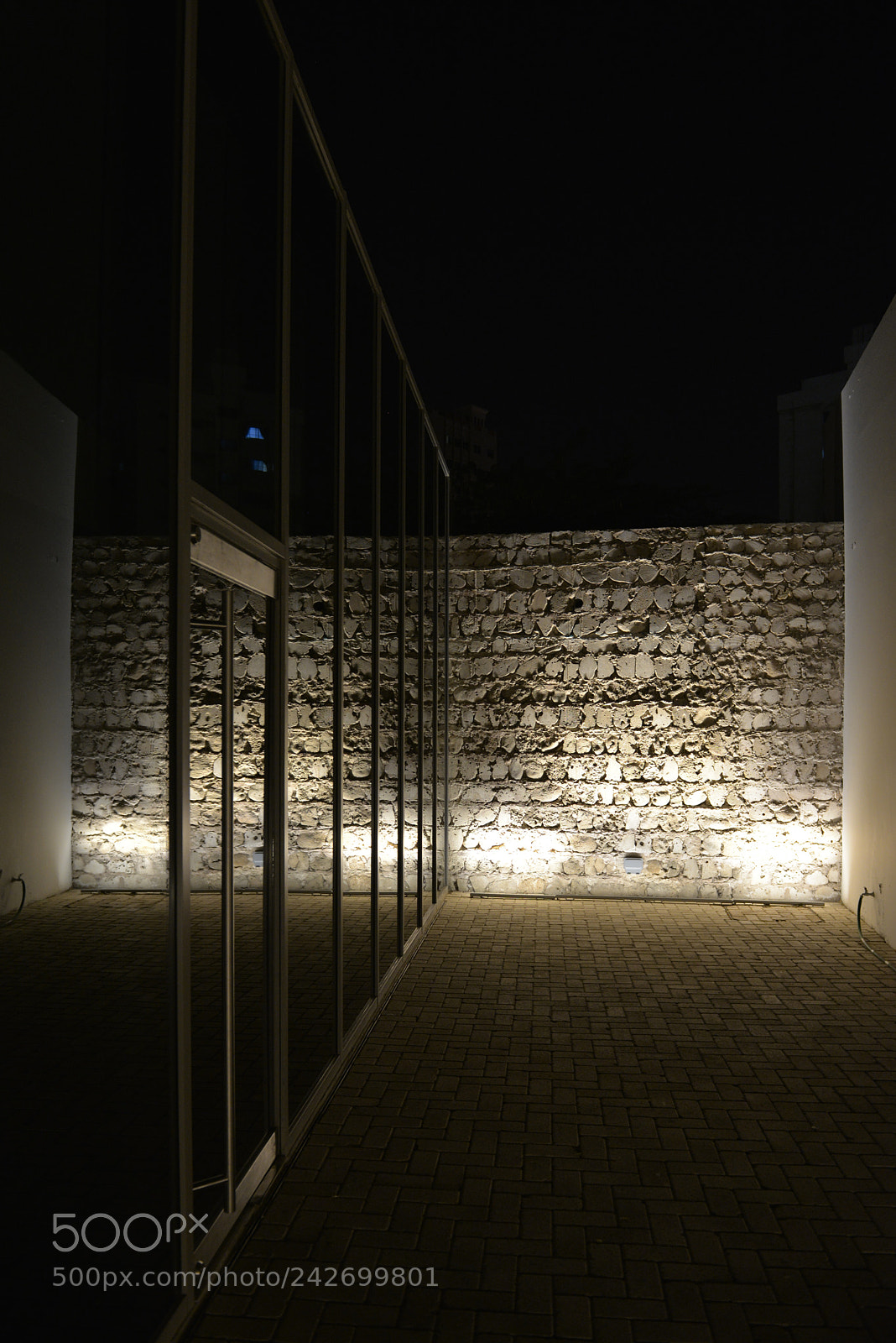 Nikon D610 sample photo. Wall reflect dsc7124 photography