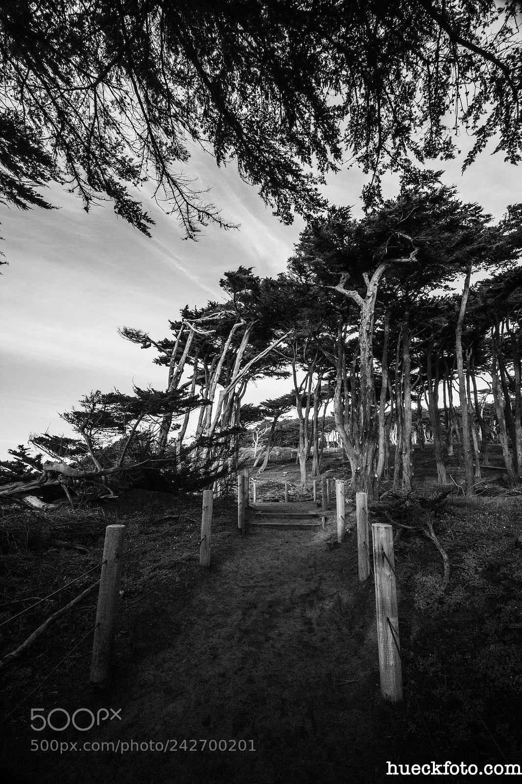 Canon EOS 60D sample photo. Lands end photography