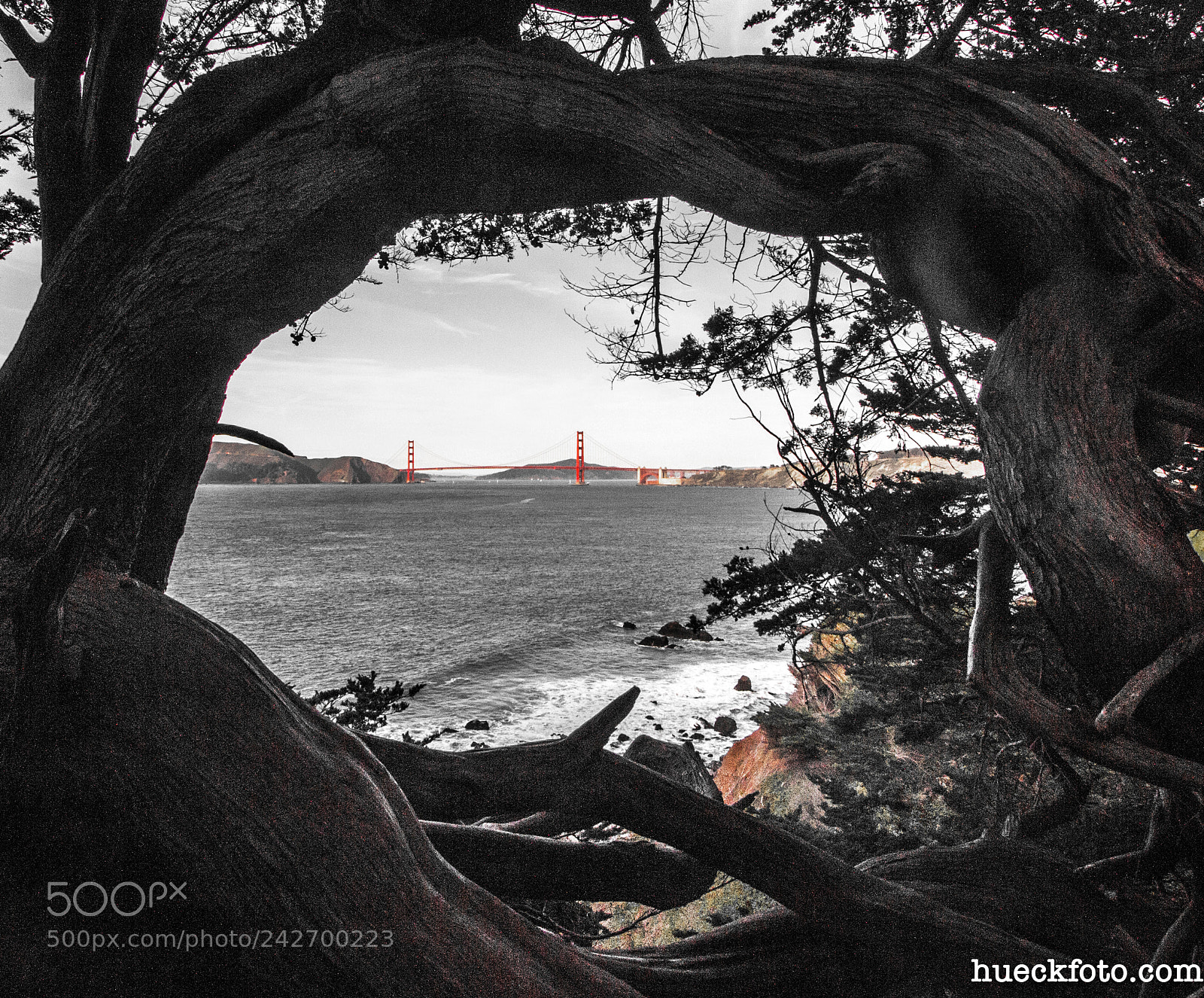 Canon EOS 60D sample photo. Lands end photography