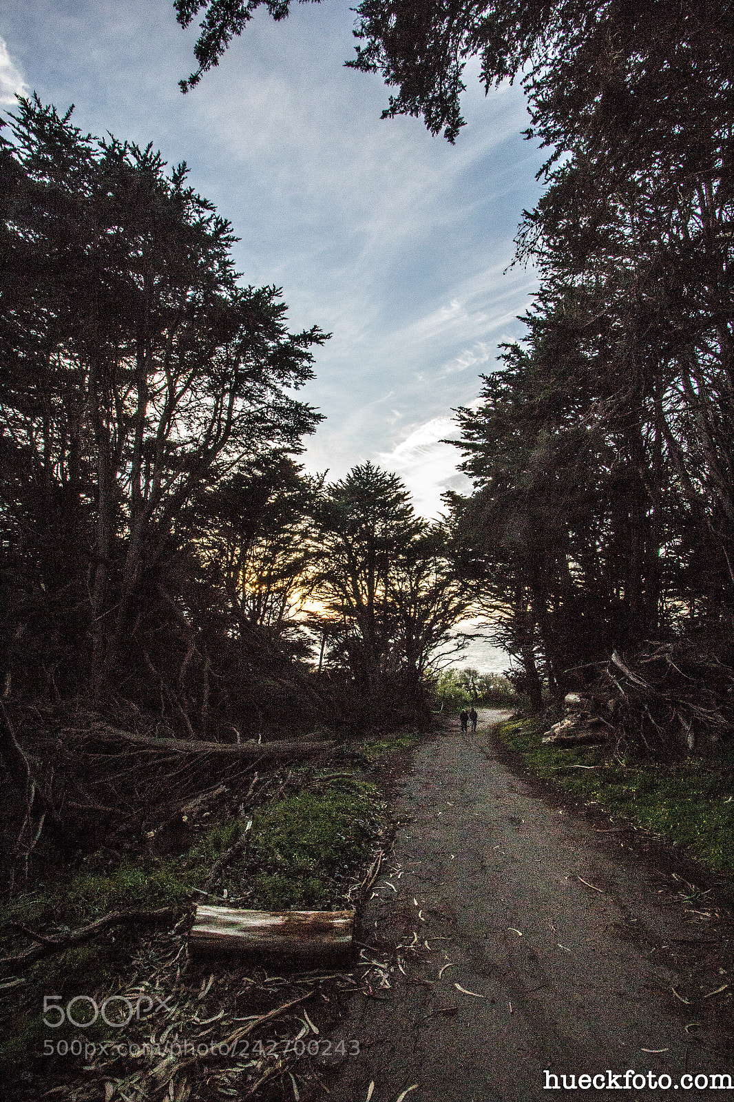 Canon EOS 60D sample photo. Lands end photography