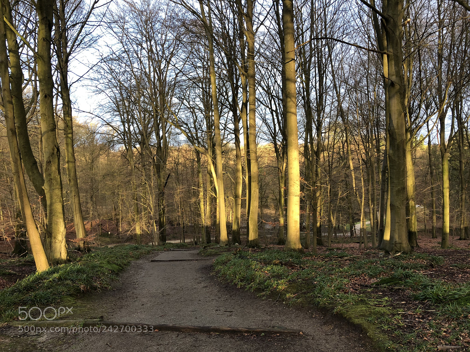 Apple iPhone X sample photo. Sunny morning in the photography