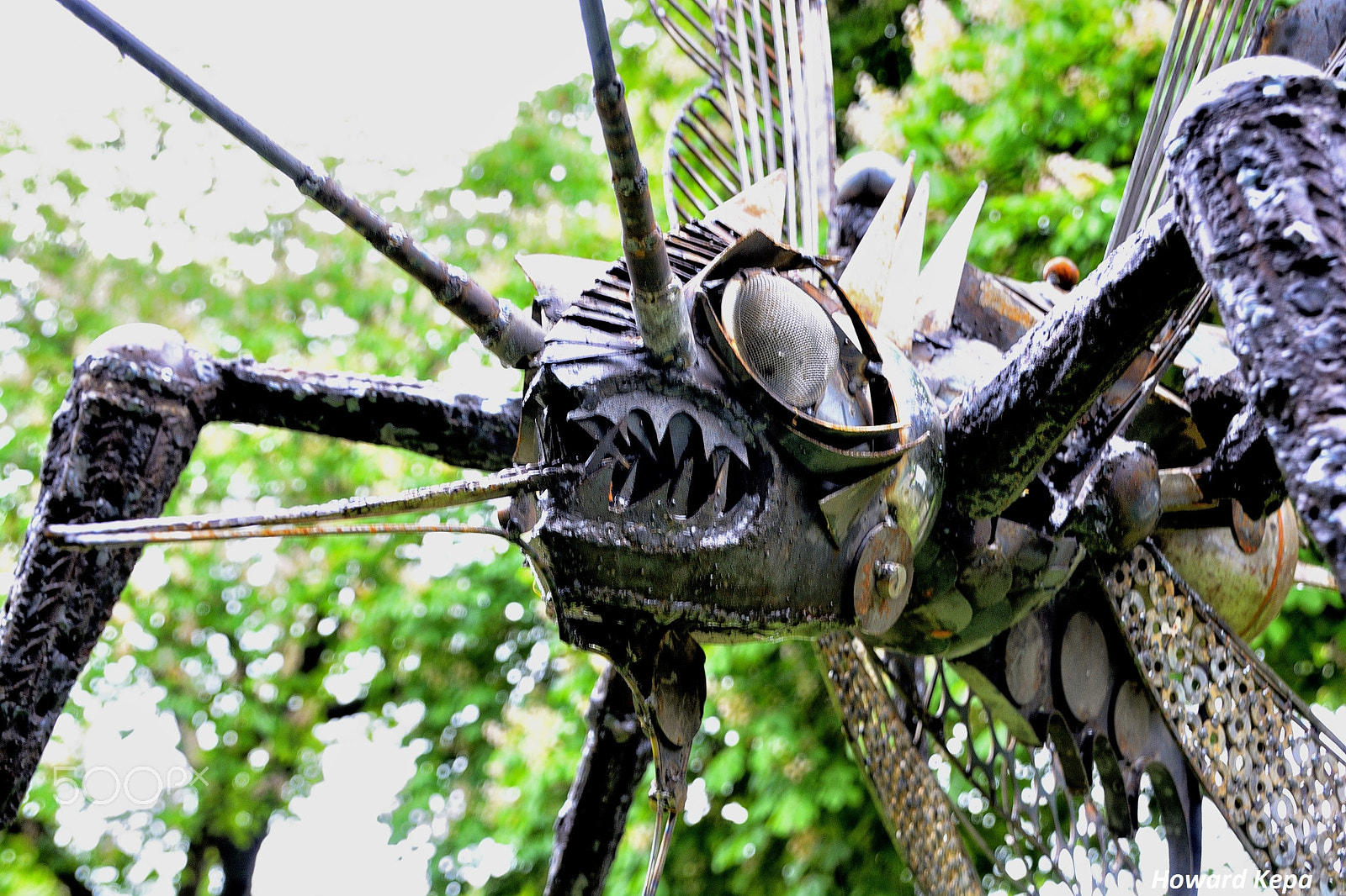 Nikon D7100 sample photo. Terrorifico. photography