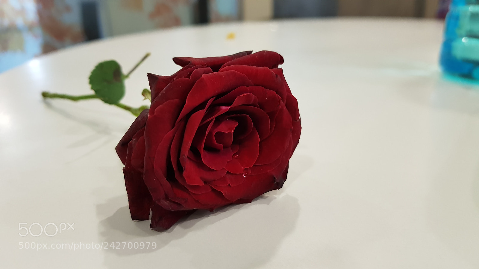 Samsung Galaxy S8 sample photo. Untitled photography