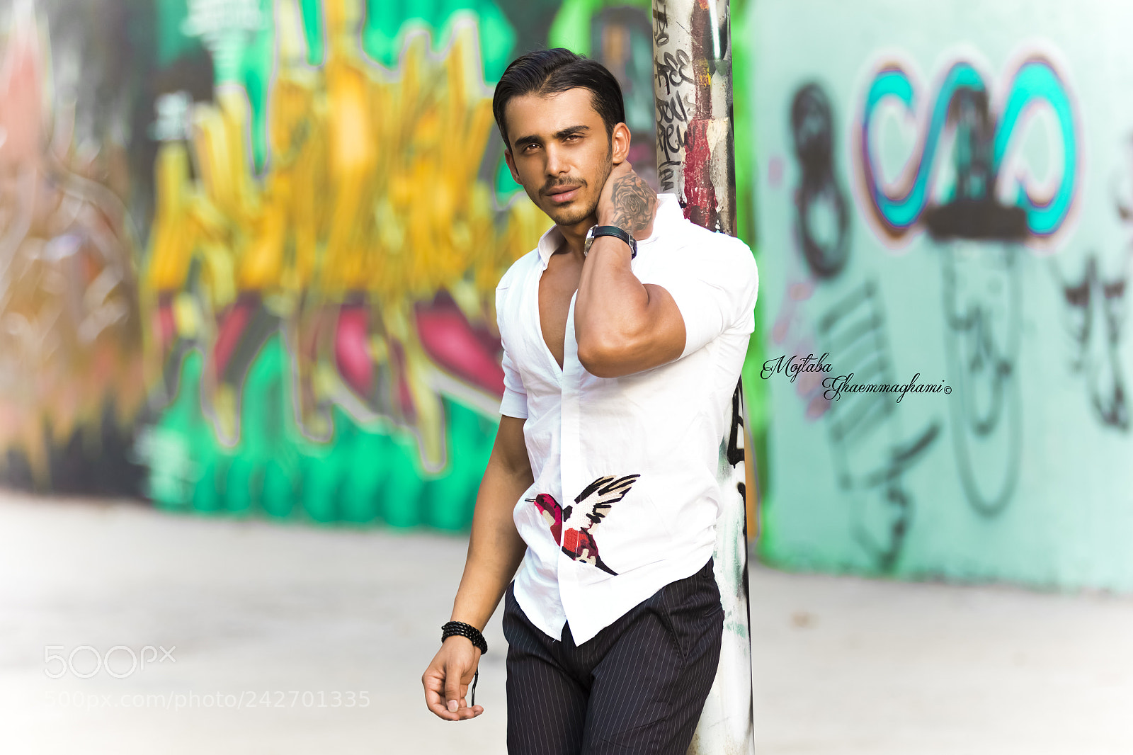 Canon EOS 60D sample photo. Untitled photography