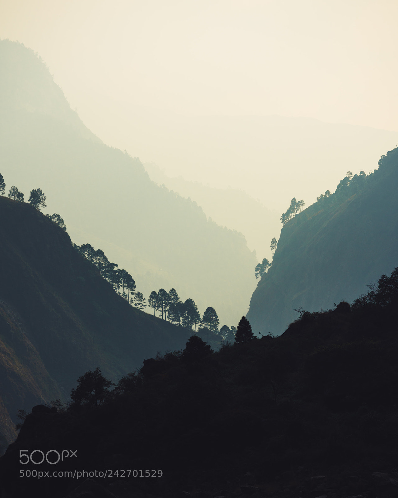 Sony a7R III sample photo. Layers.psd photography