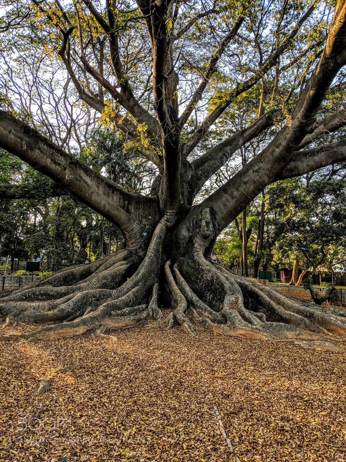 Google Pixel 2 sample photo. Life photography