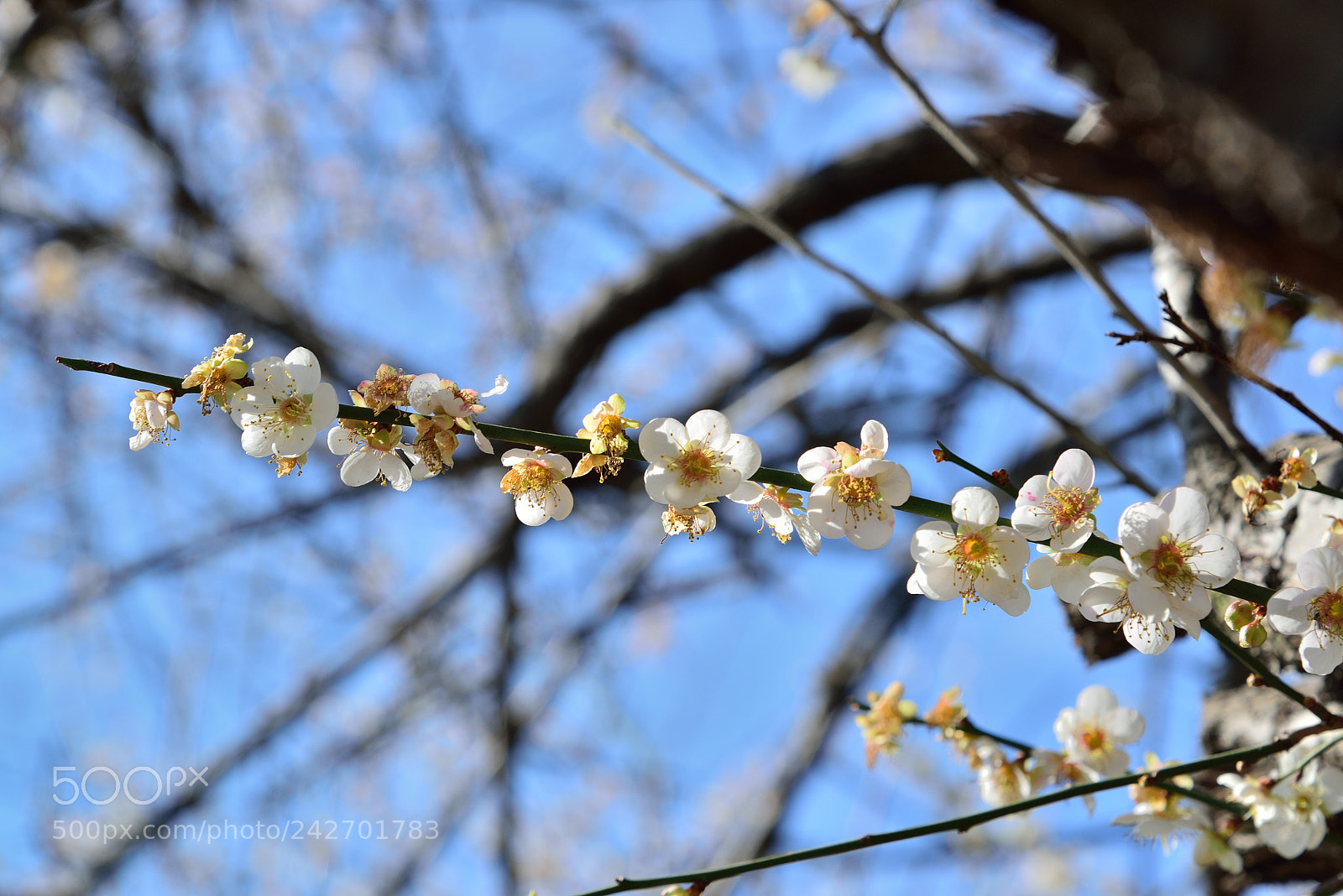 Nikon AF-S Nikkor 24-120mm F4G ED VR sample photo. Dsc photography