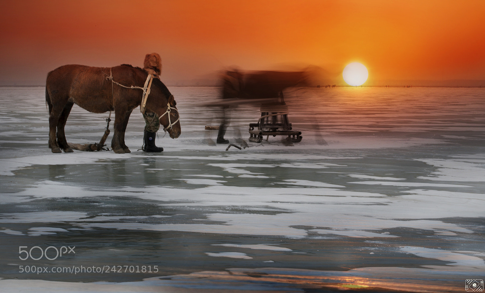 Canon EOS-1D X Mark II sample photo. Fishing in winter photography