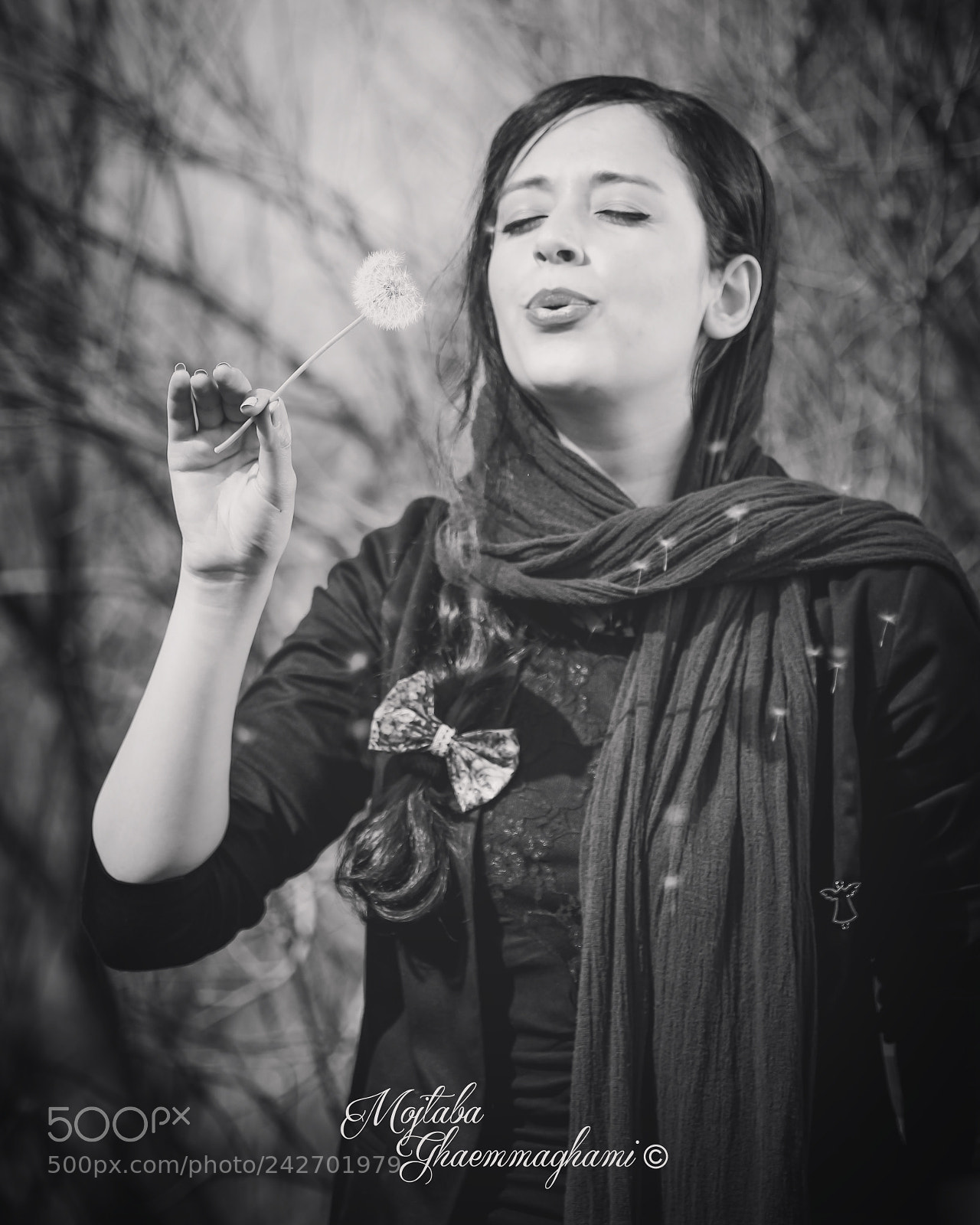 Canon EOS 60D sample photo. Untitled photography