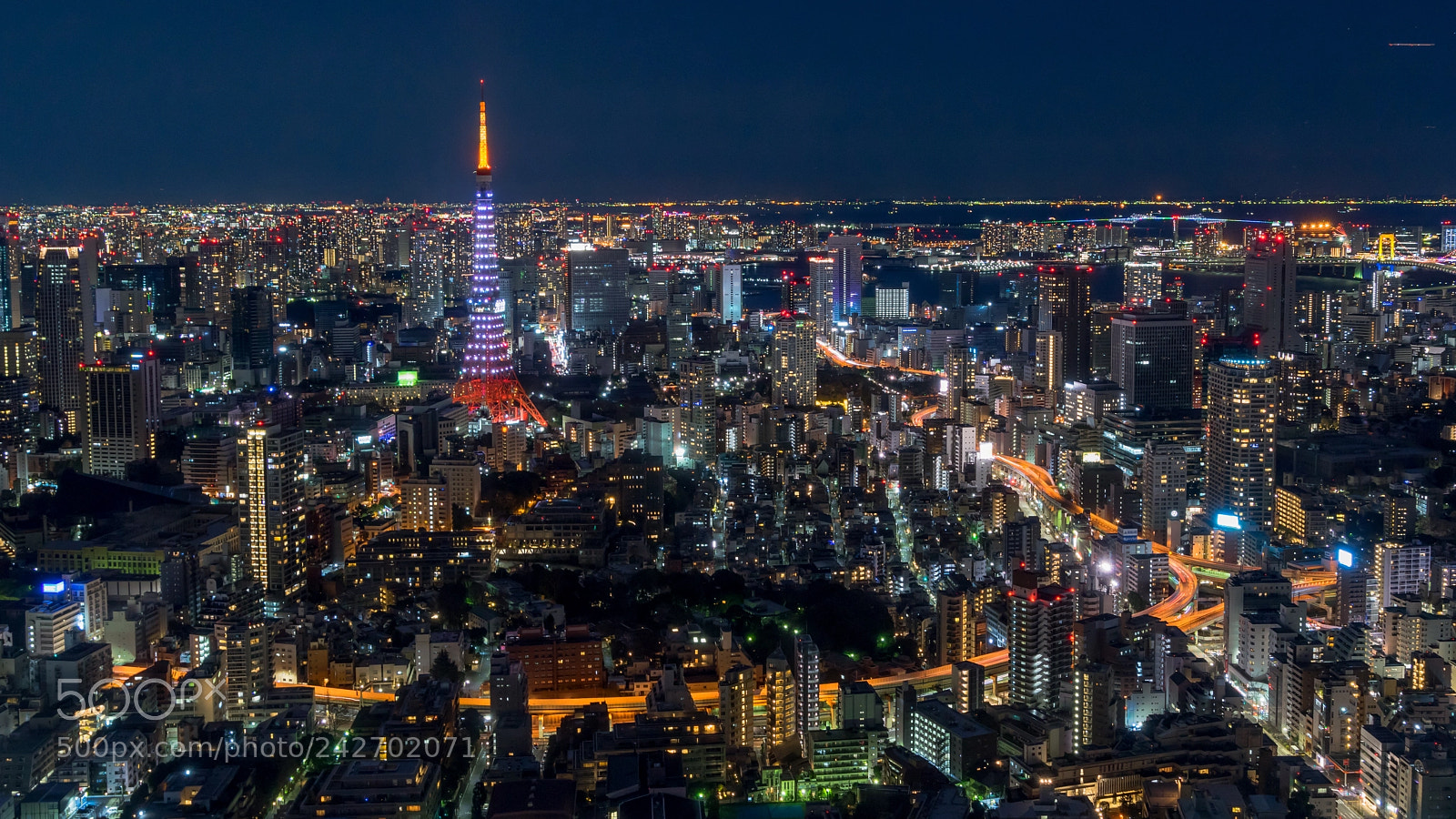 Sony a7R sample photo. Tokyo tower photography