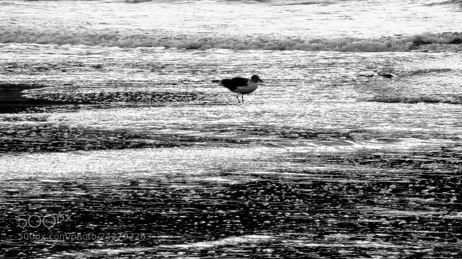 Panasonic Lumix DMC-ZS30 (Lumix DMC-TZ40) sample photo. Ice sea. photography
