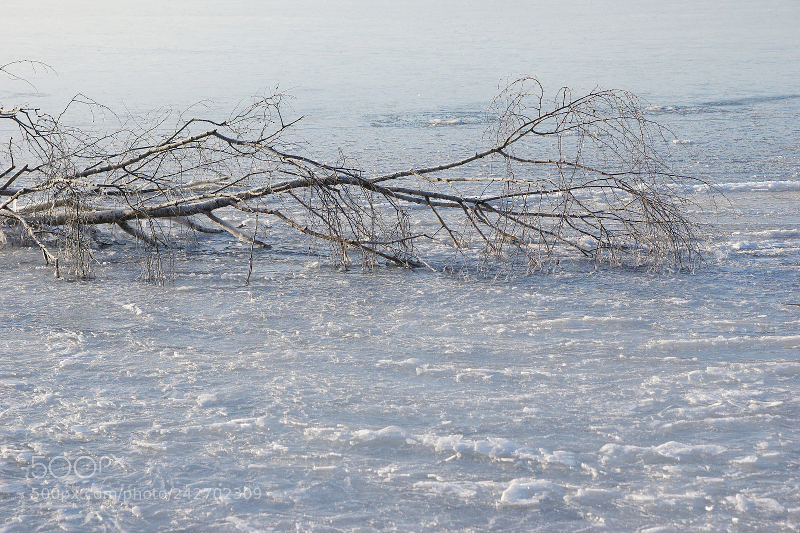 Pentax K-3 sample photo. Winter i photography