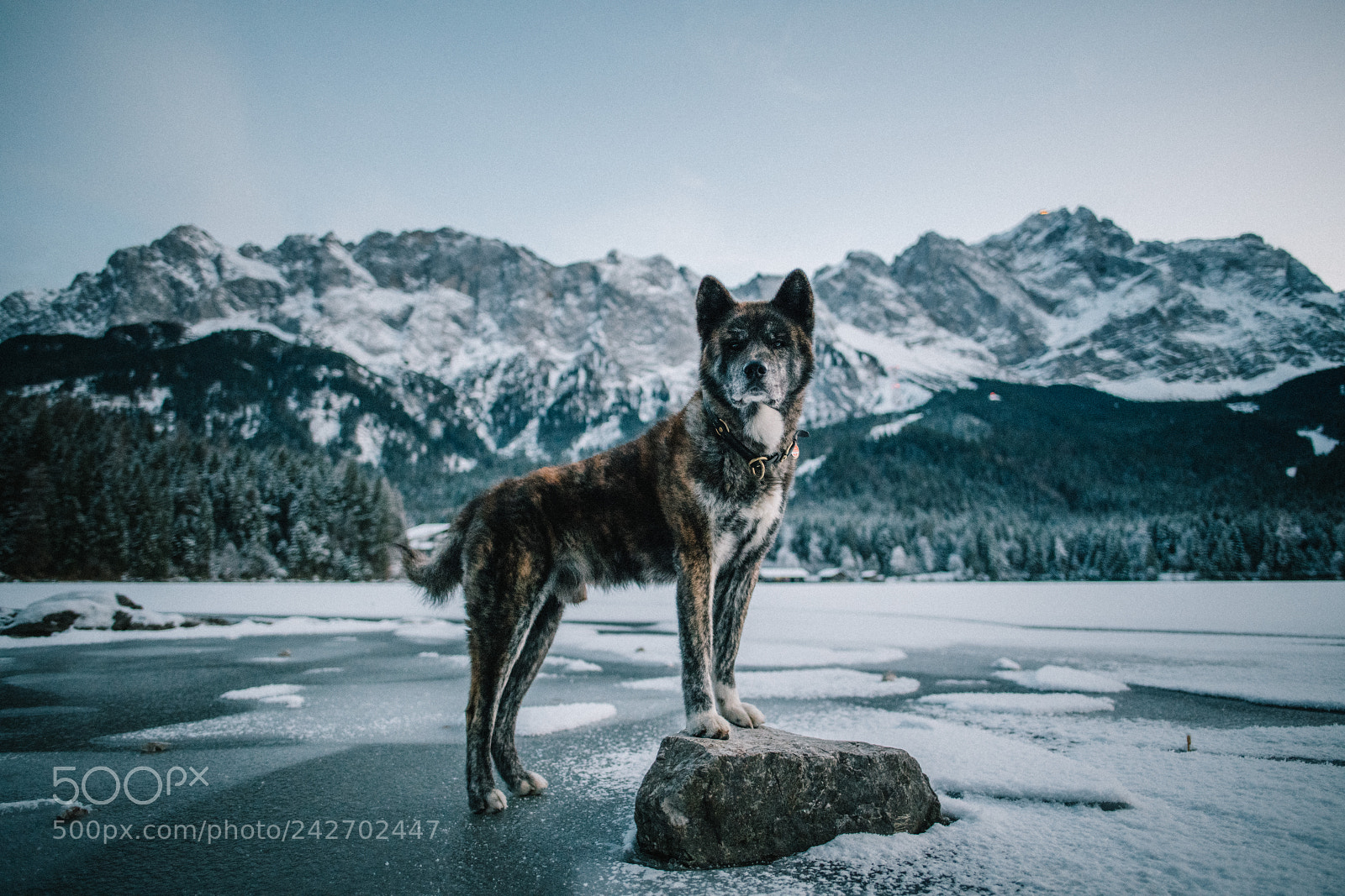 Nikon D850 sample photo. Akita ice & rock photography