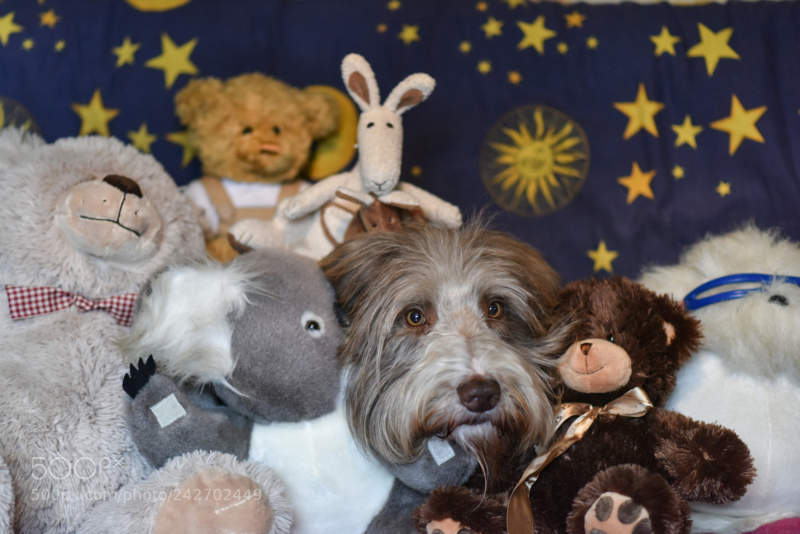 Nikon D810 sample photo. We are family photography