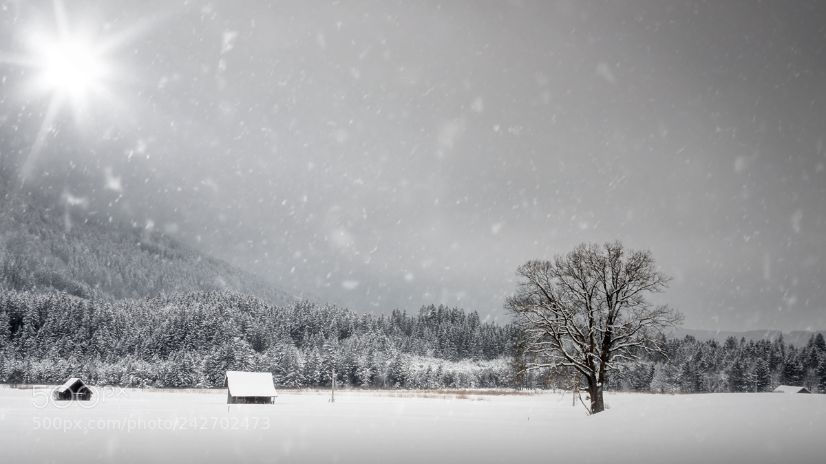 Canon EOS 40D sample photo. Wintertime photography