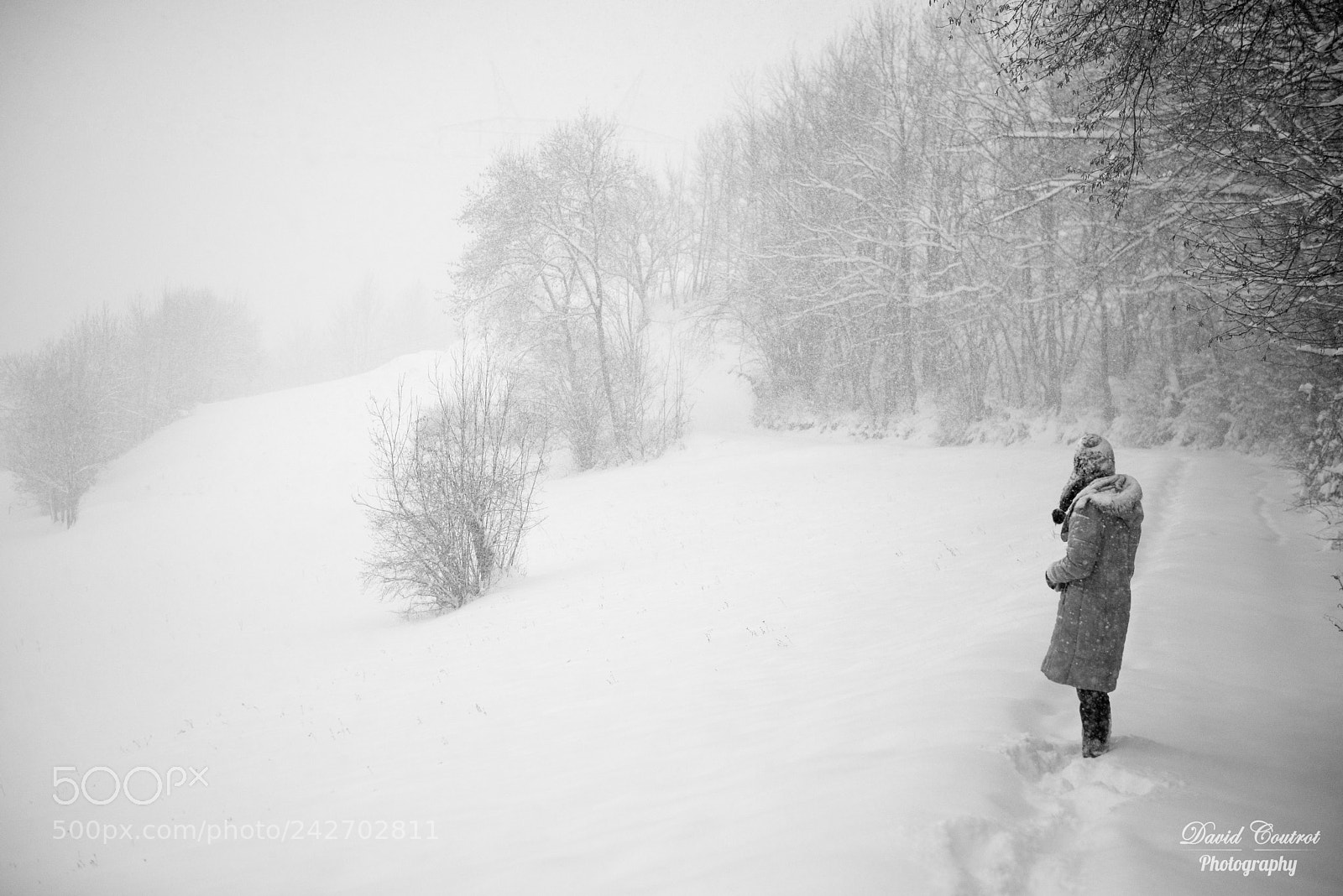 Nikon D610 sample photo. Walk in the snow photography