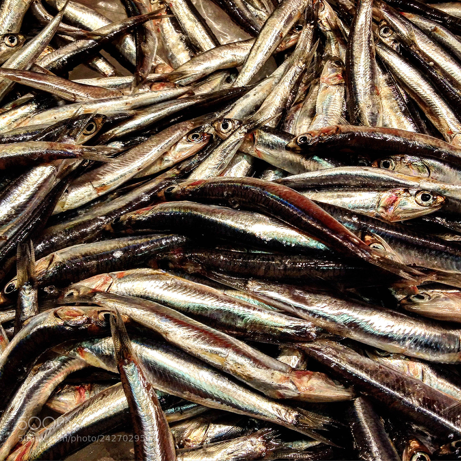 Apple iPhone 4S sample photo. Pescadito fresco photography