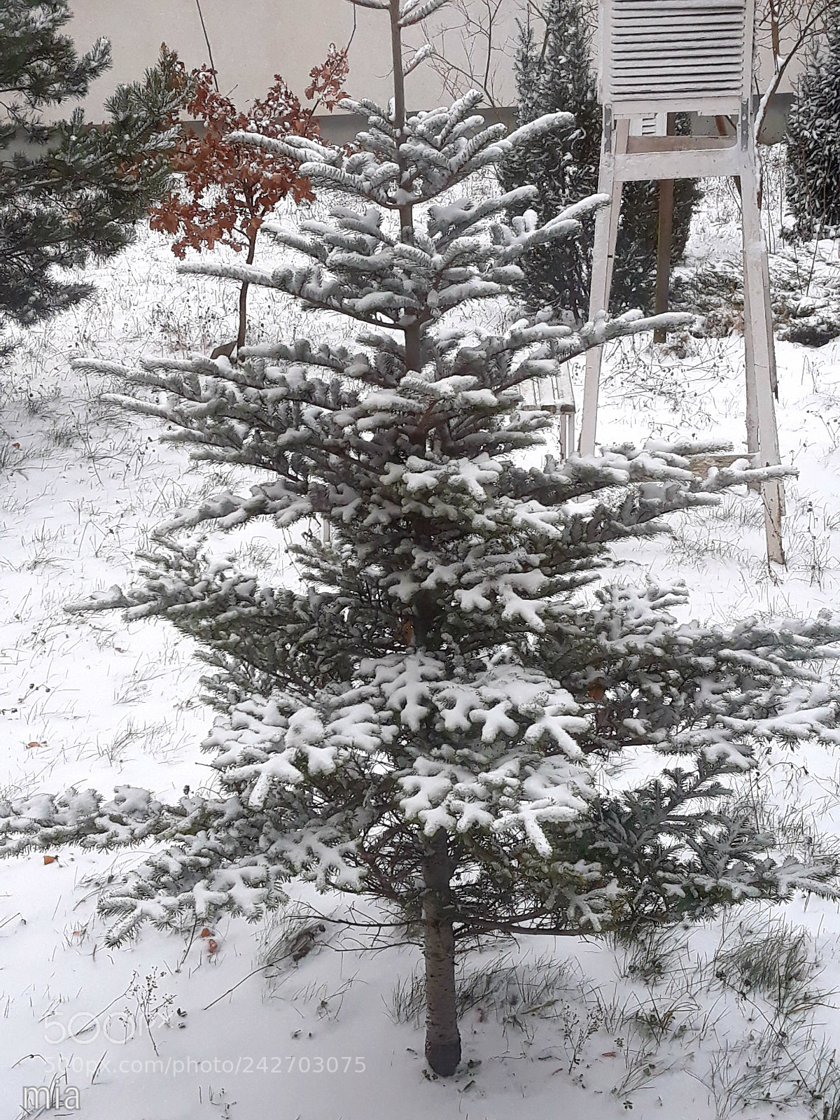 Samsung Galaxy J7 sample photo. Winter scene photography