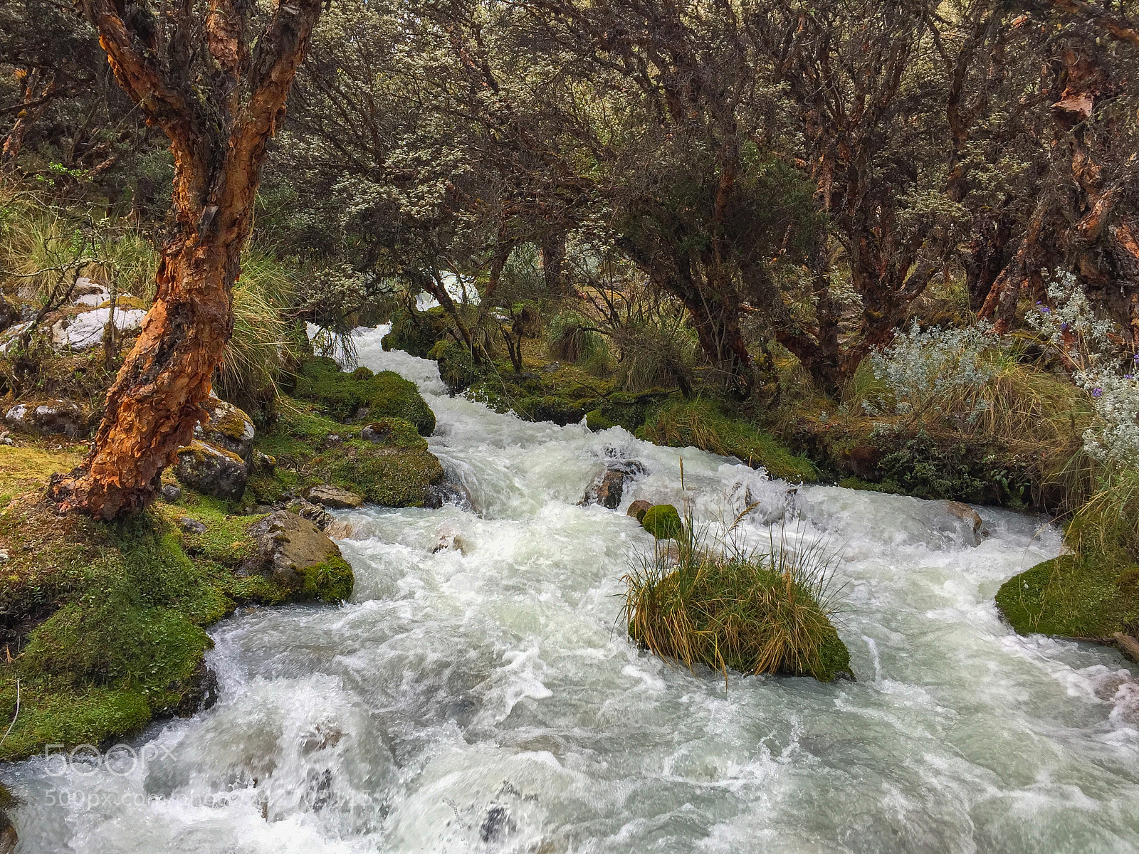 Apple iPhone 6 sample photo. Water stream photography