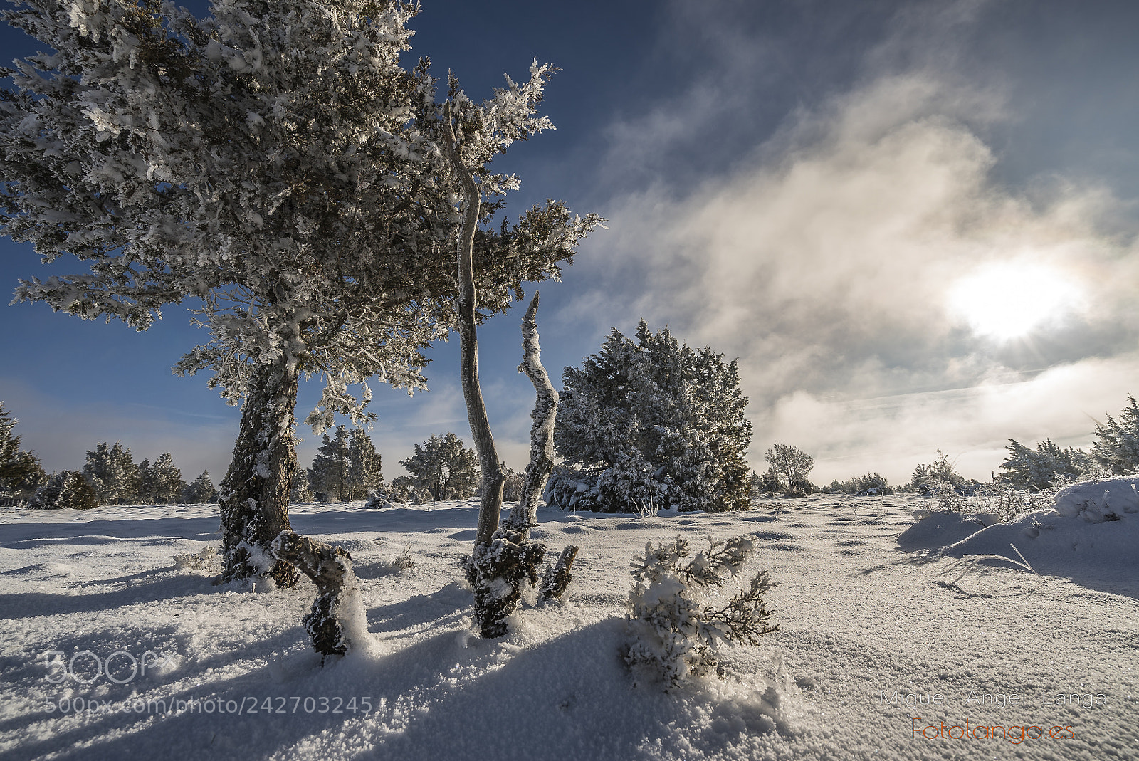 Sony a7S sample photo. Winter is coming photography